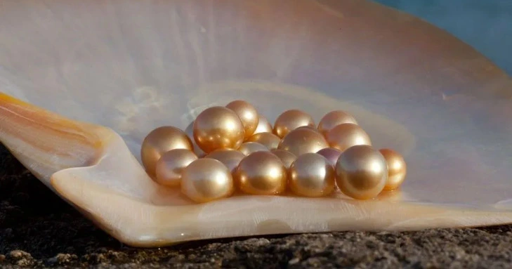 golden south sea pearls