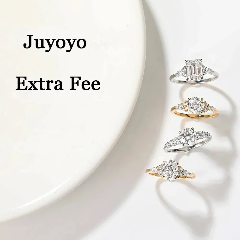 Extra Fee for Juyoyo3759