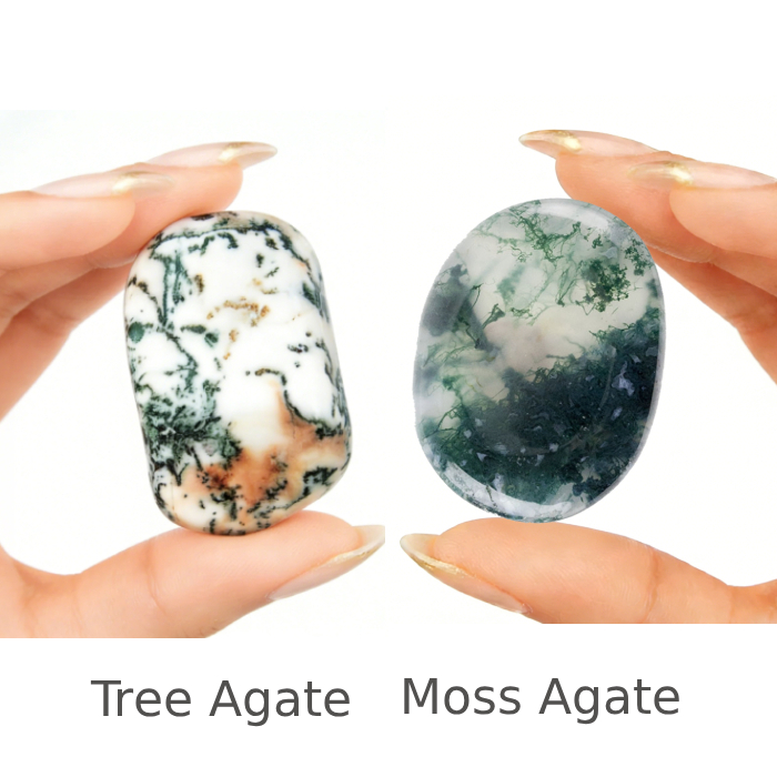 tree agate versus moss agate