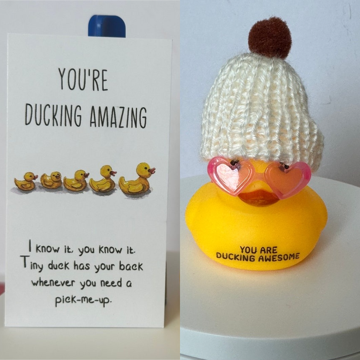 🤣Emotional Support Duck