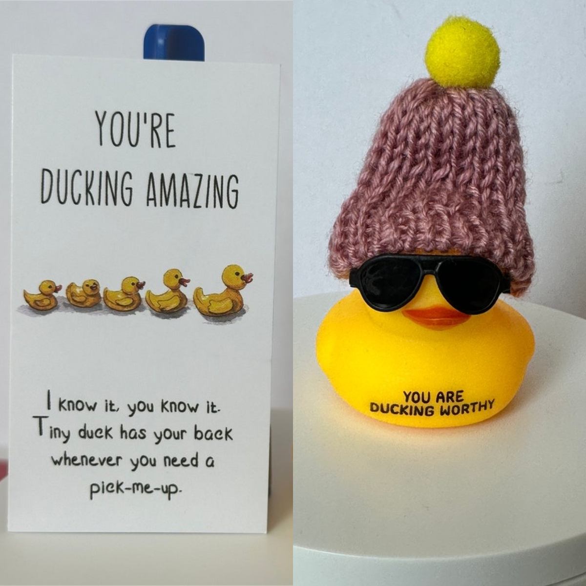 🤣Emotional Support Duck