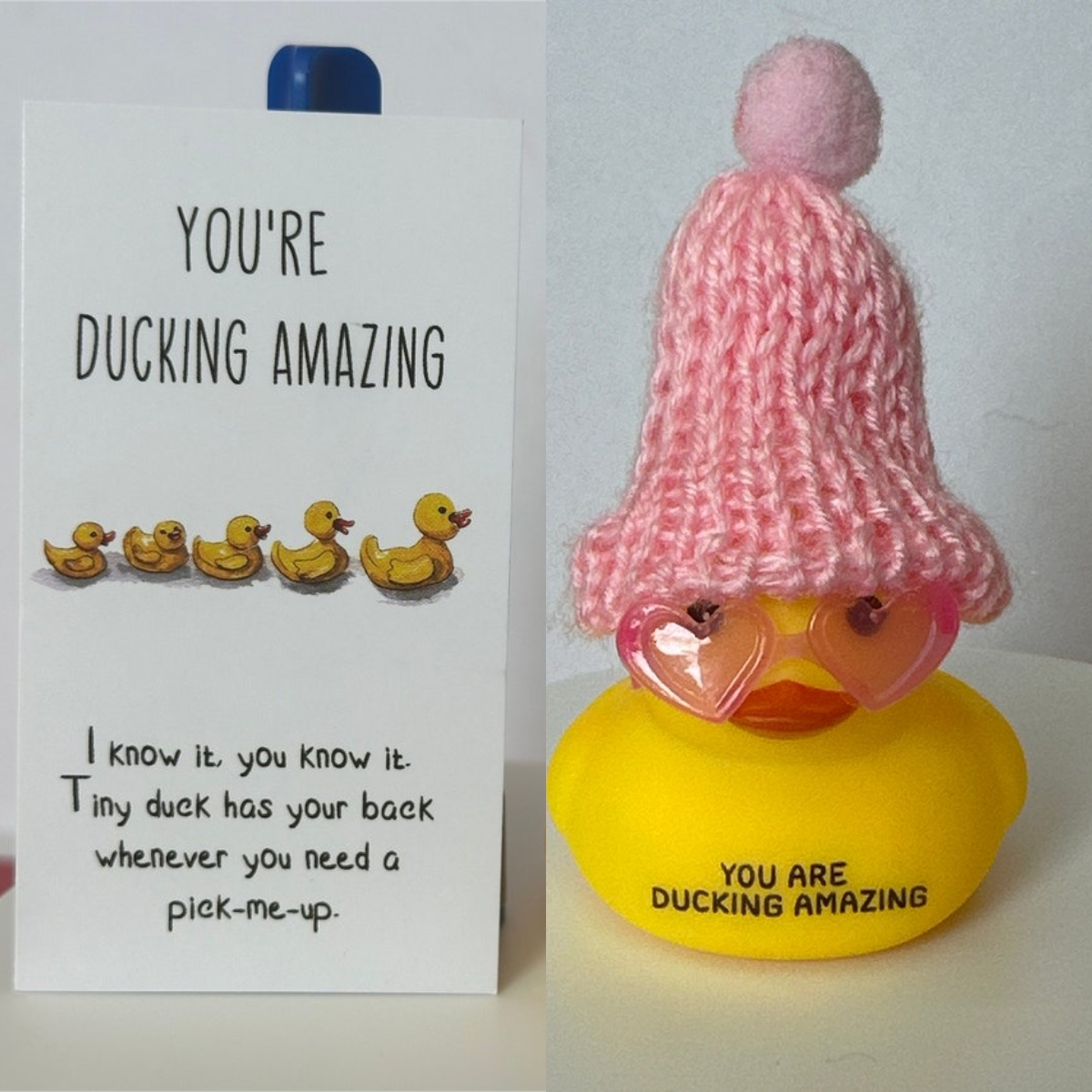 🤣Emotional Support Duck