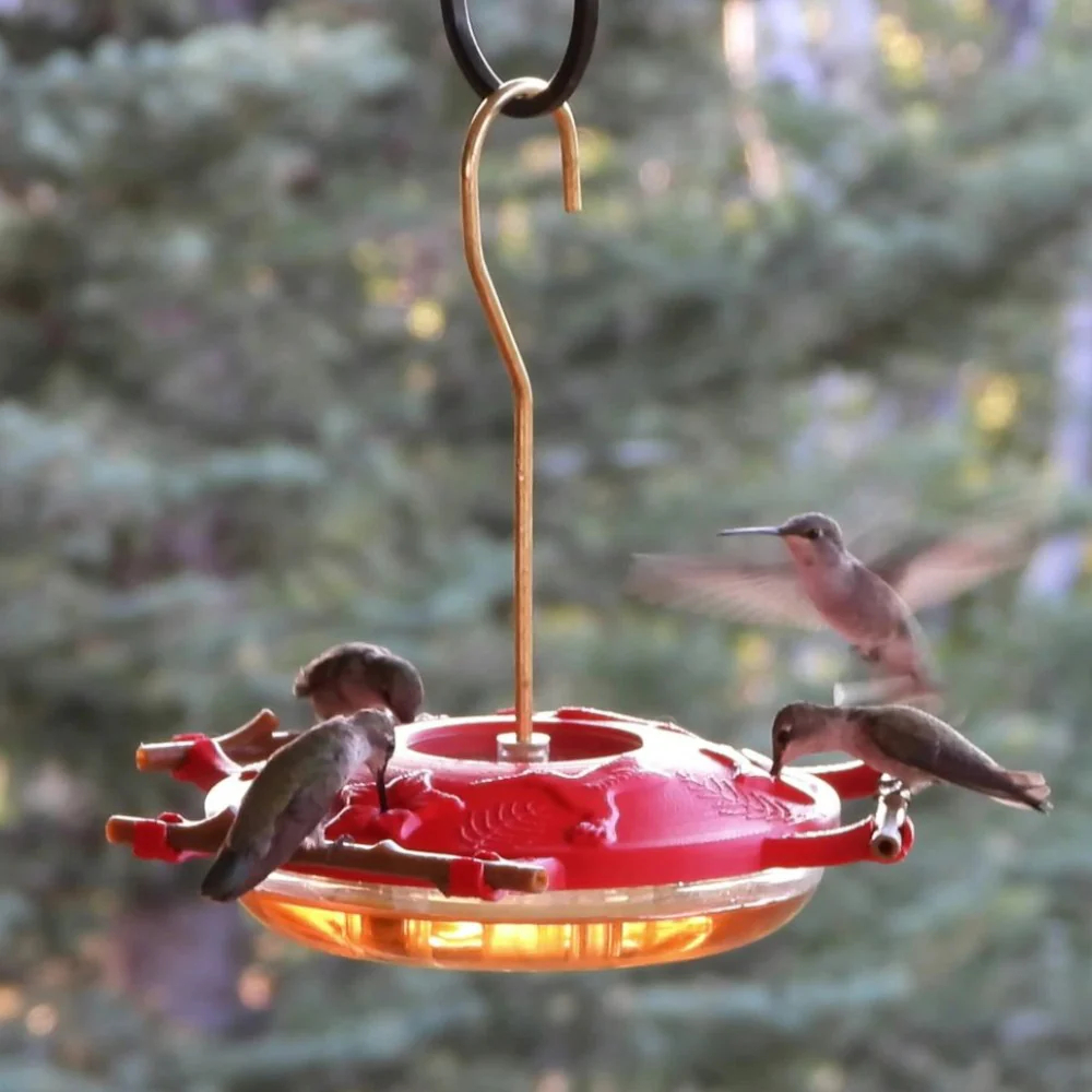 Hummingbird Feeder, 8 oz Feeding Capacity