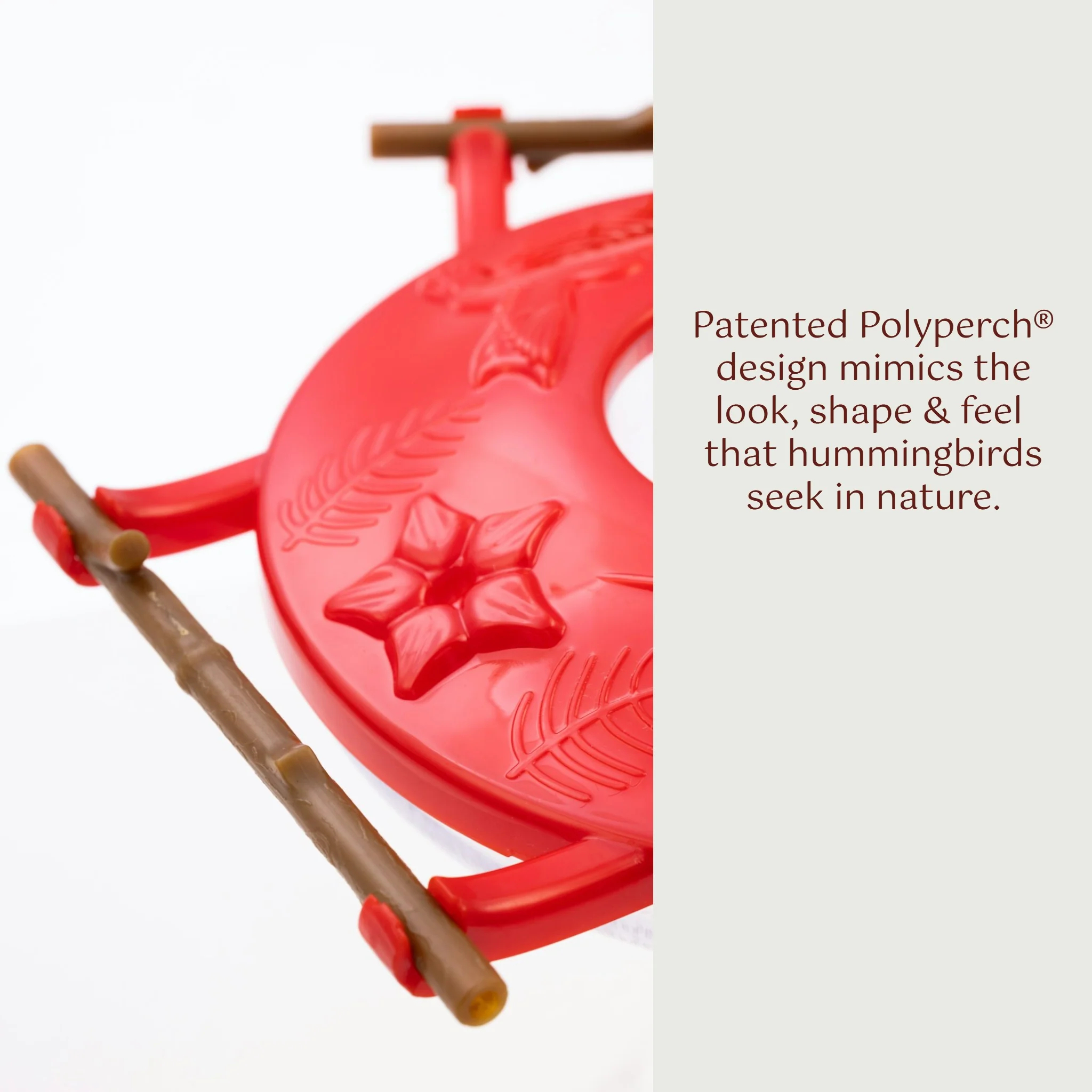 Hummingbird Feeder, 8 oz Feeding Capacity