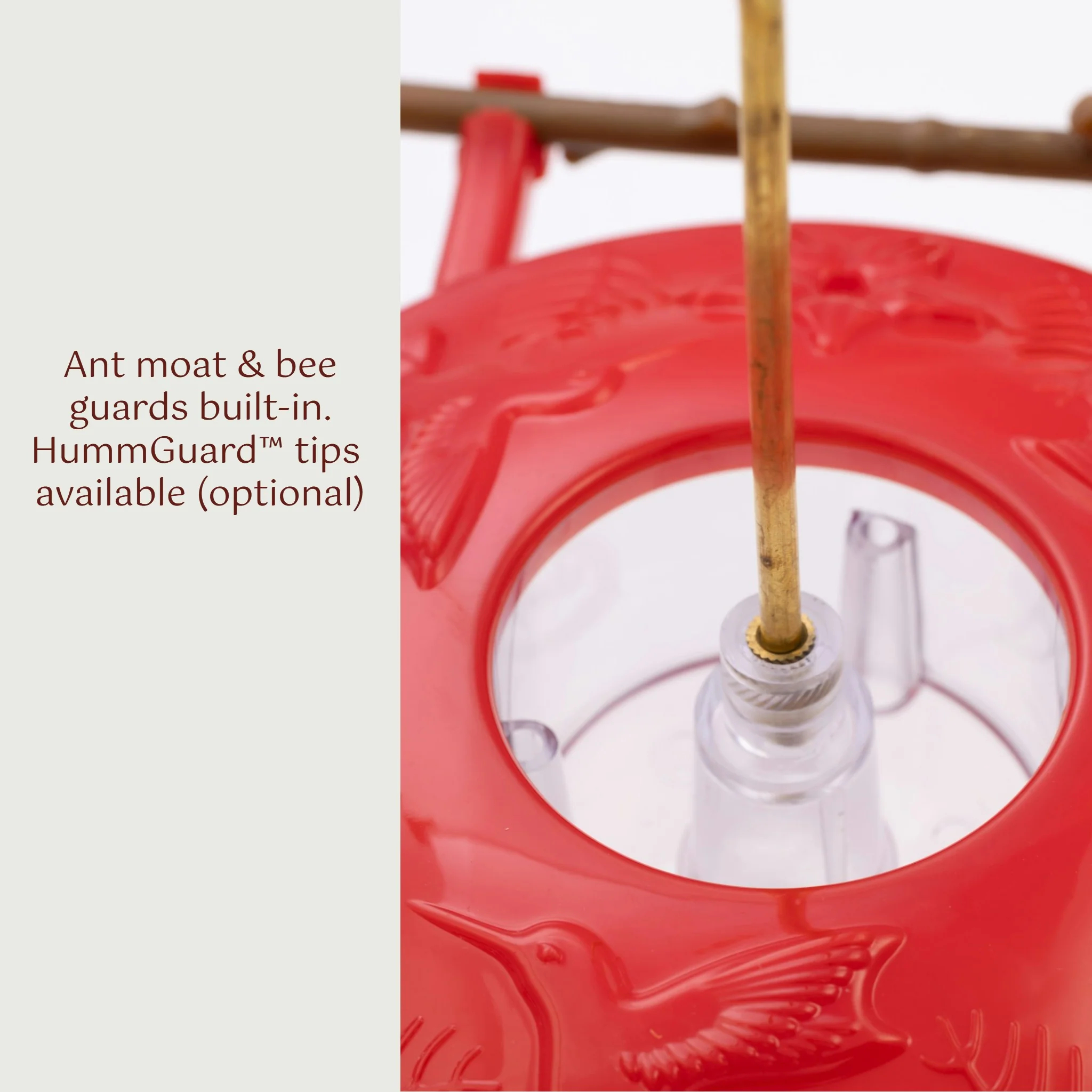 Hummingbird Feeder, 8 oz Feeding Capacity