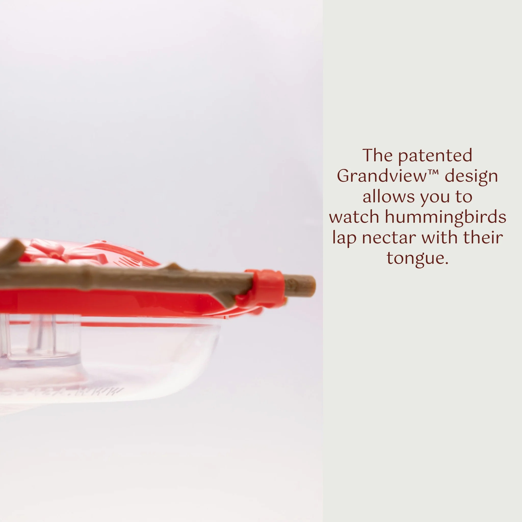 Hummingbird Feeder, 8 oz Feeding Capacity