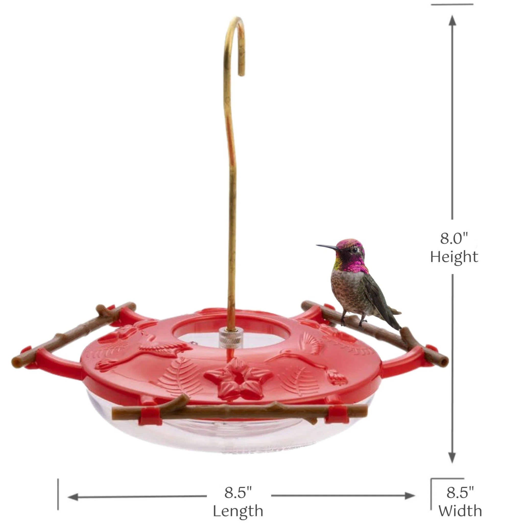 Hummingbird Feeder, 8 oz Feeding Capacity