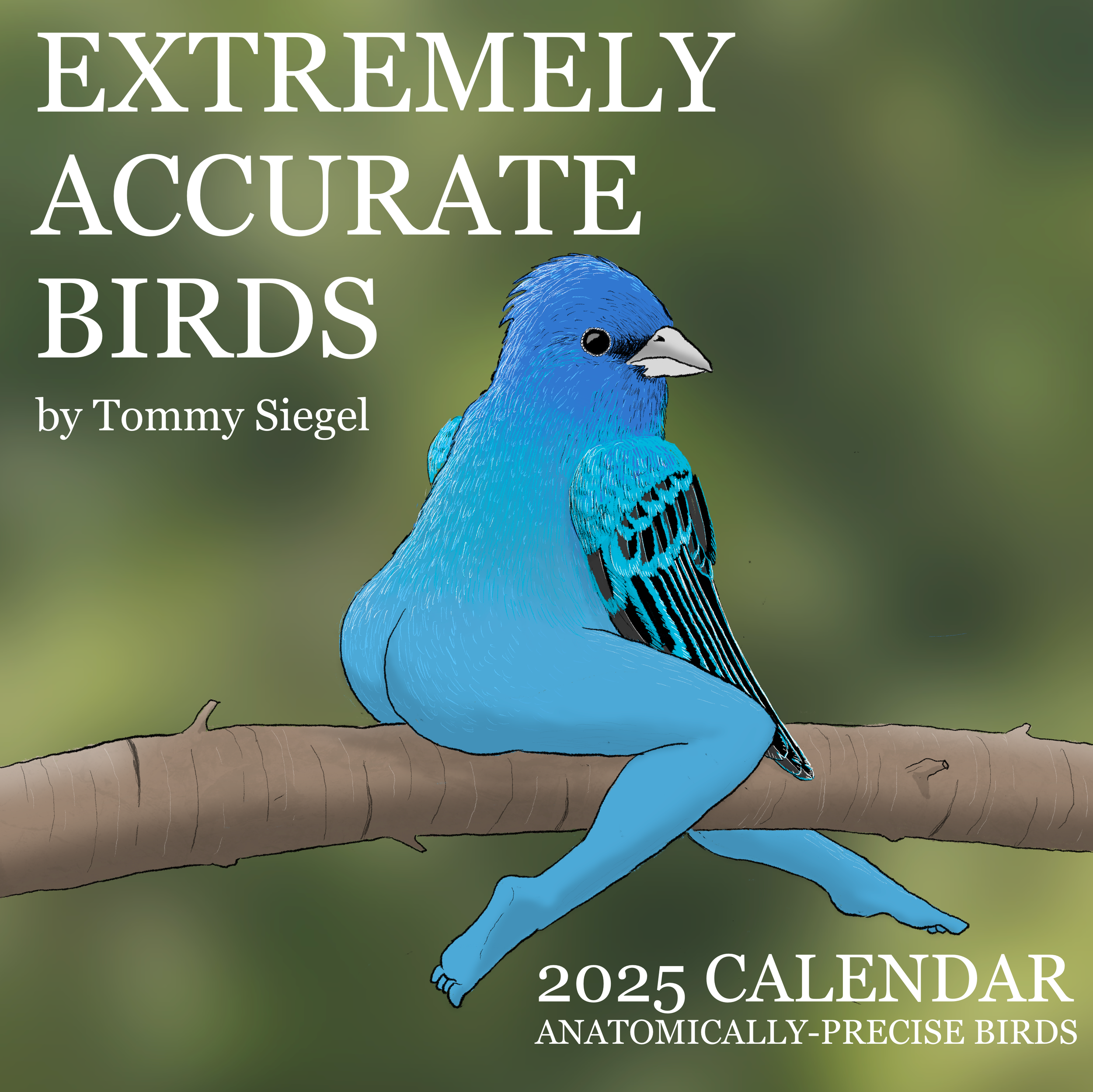 🎁2025 CALENDAR OF EXTREMELY ACCURATE BIRDS