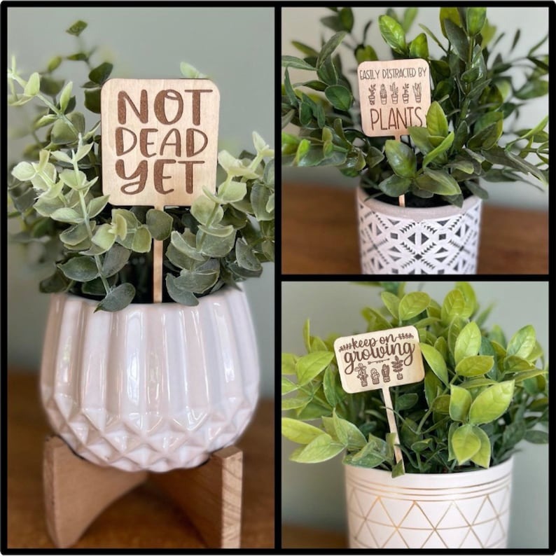 🌵Funny Plant Markers