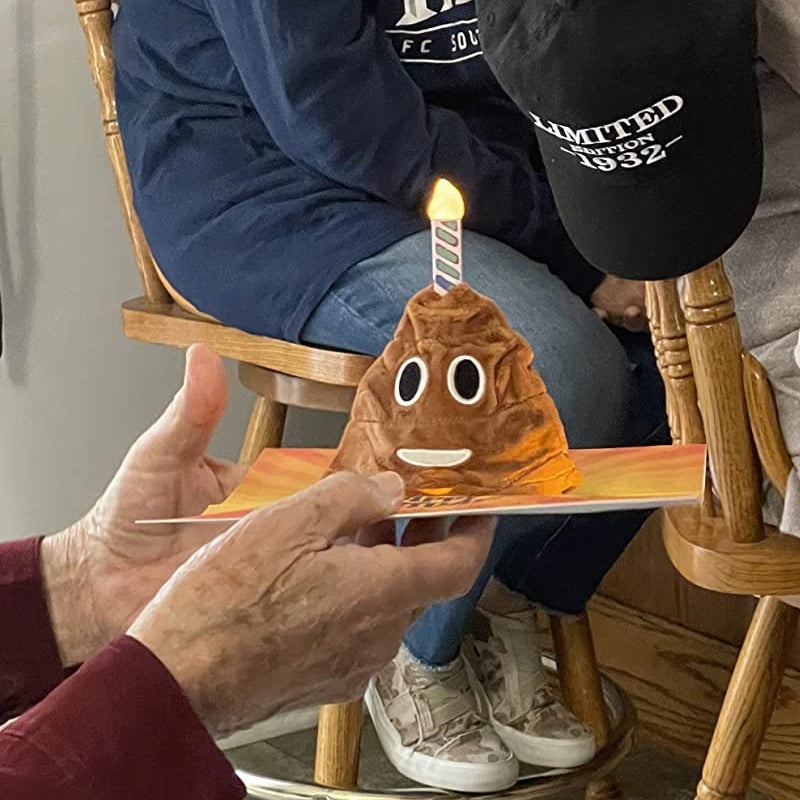 Plays & Sings Poo Plush Happy Birthday Card