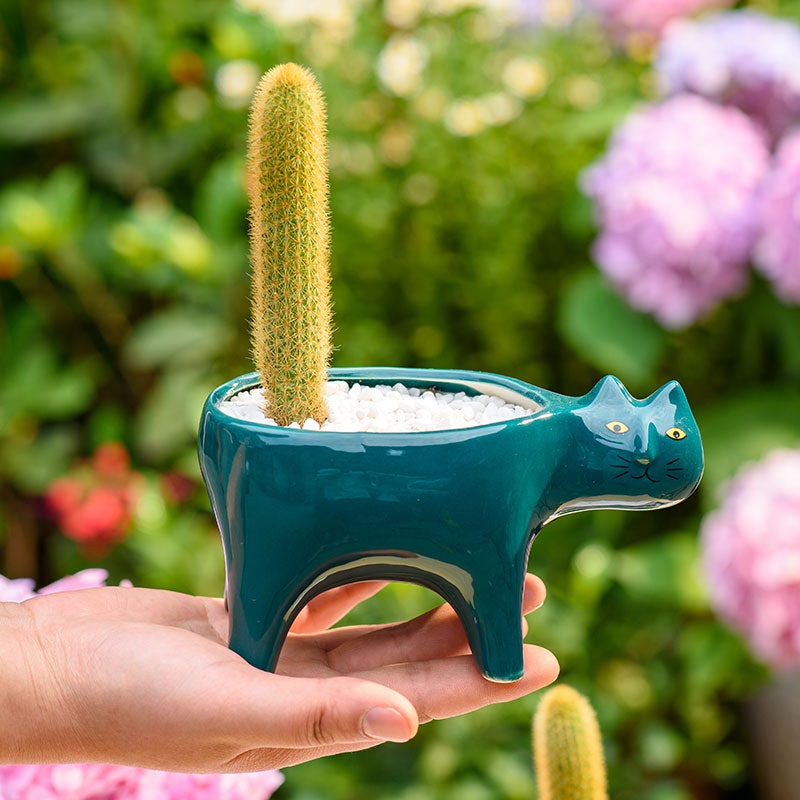 🐈🌵Creative Succulent Cat Vase