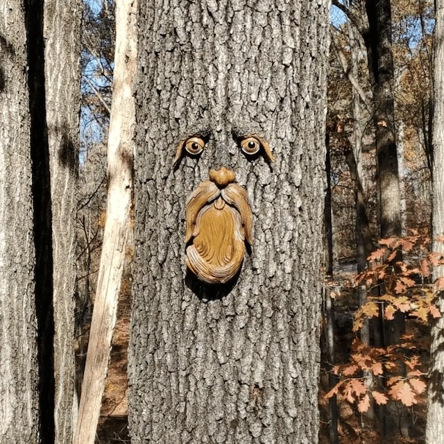 🌳Unique Bird Feeders for Outdoors-Tree Face Bird Feeder
