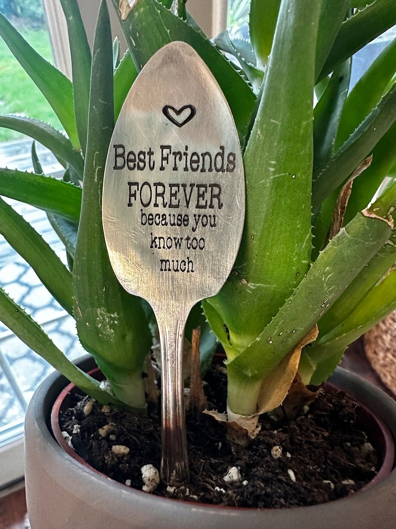Funny Garden Marker - Friendship Gift