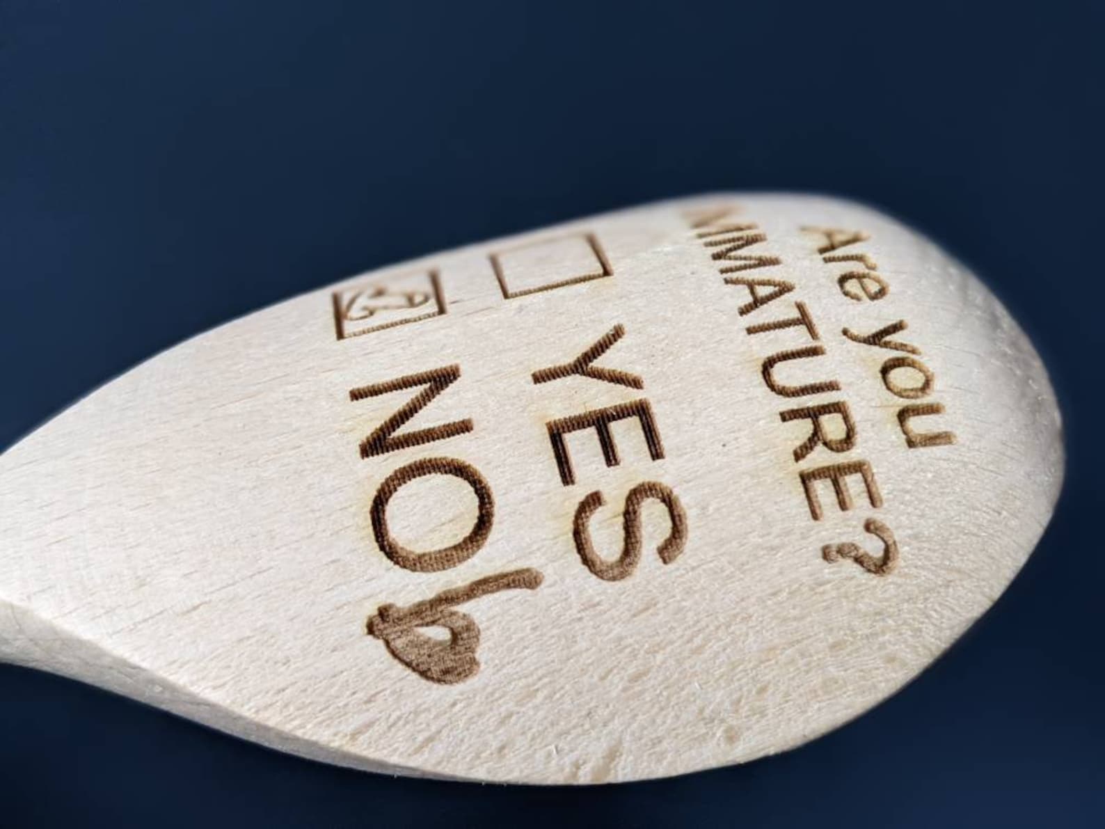 Funny Spoon Joke Gift