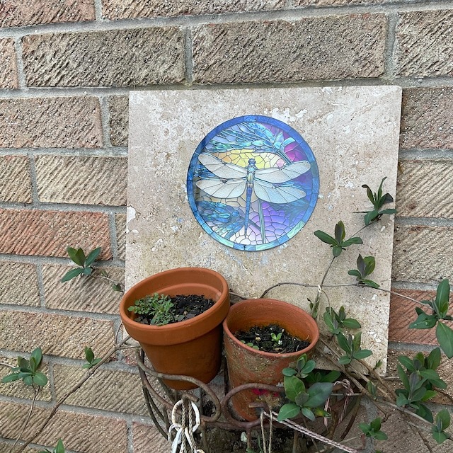 🔥First Choice For Home Decoration - Acrylic Dragonfly Pendant