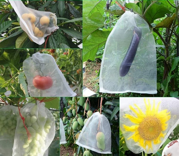 🌱Fruit Vegetable Insect Proof Mesh Bag