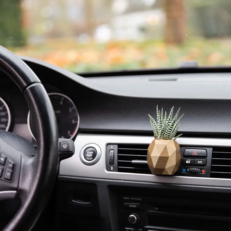 Cozy Boho Car Vase🎁