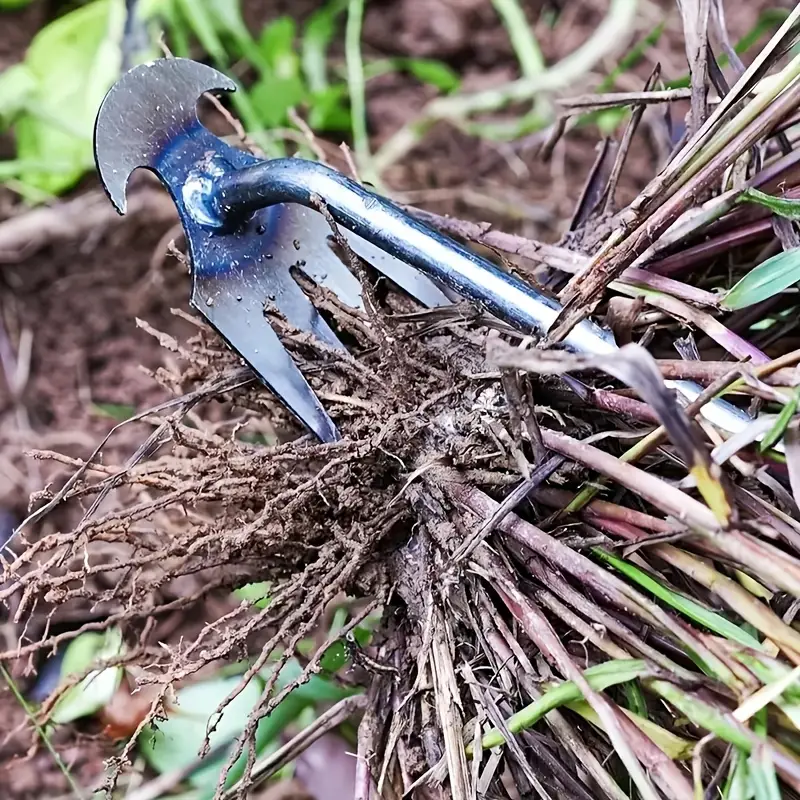 Weed Remover Tool