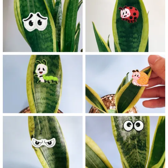 Plant Magnets Eyes for Potted Plants