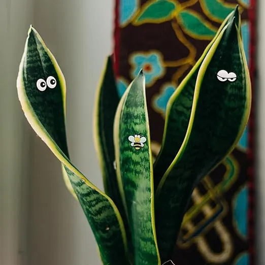 Plant Magnets Eyes for Potted Plants