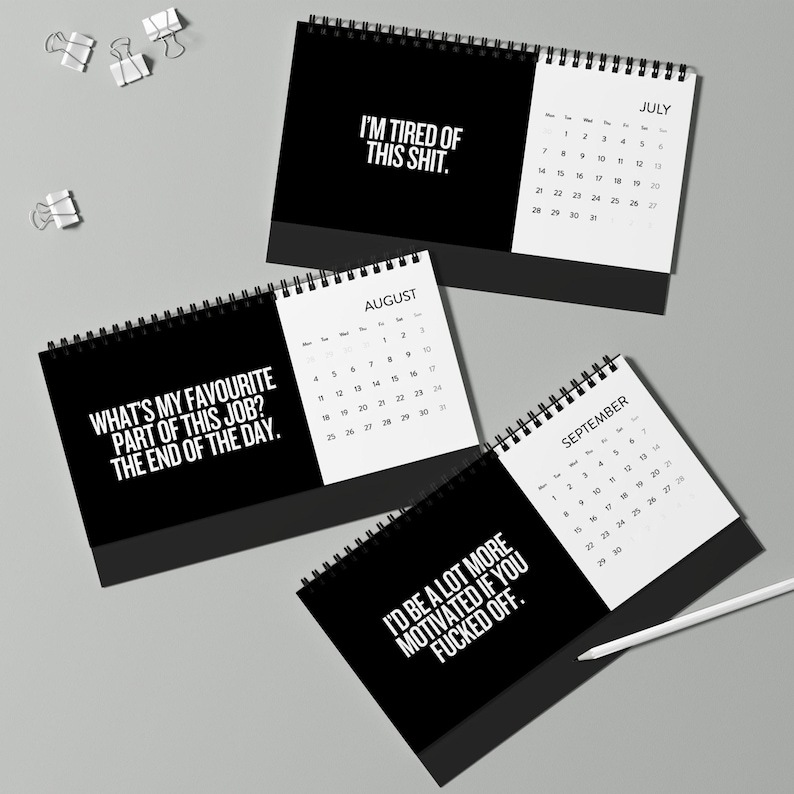 Sh*t I Want To Say At Work 2025 Calendar