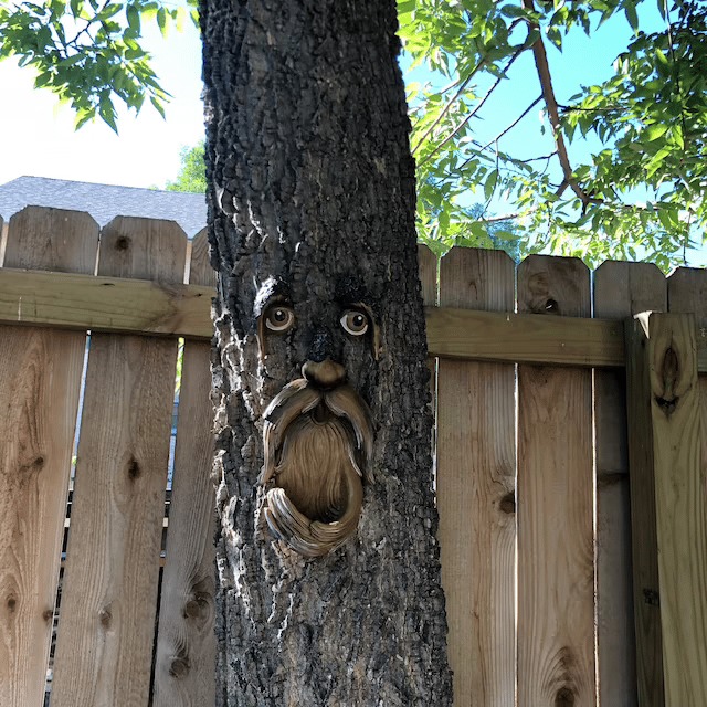 🌳Unique Bird Feeders for Outdoors-Tree Face Bird Feeder
