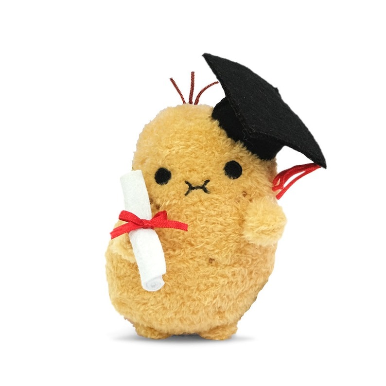 🧡👨‍🎓 Graduation Potato Fluffy Mini Plush Toy 👩‍🎓🧡