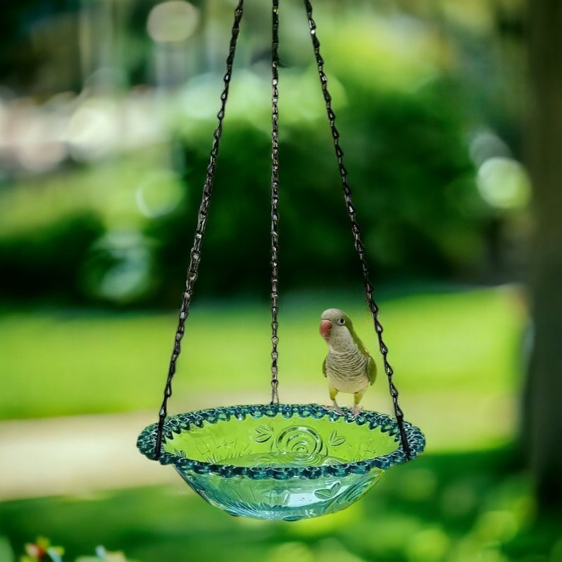 Hanging Bird Feeder