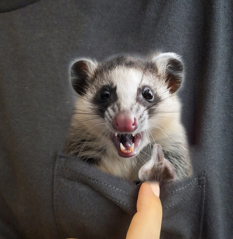 Hidden Middle Finger Signed Funny Raccoon Printed T-Shirt（Buy 2 Free Shipping）