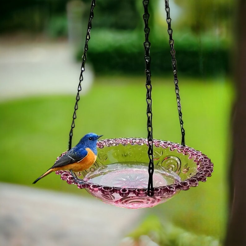 Hanging Bird Feeder
