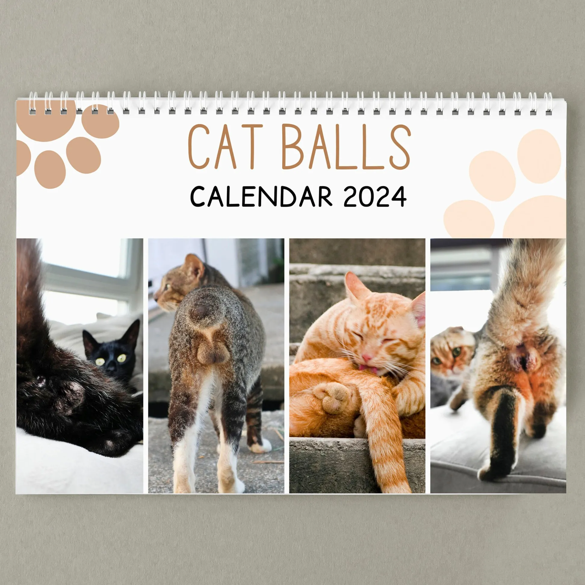 🤣Funny Cat Calendar 2024