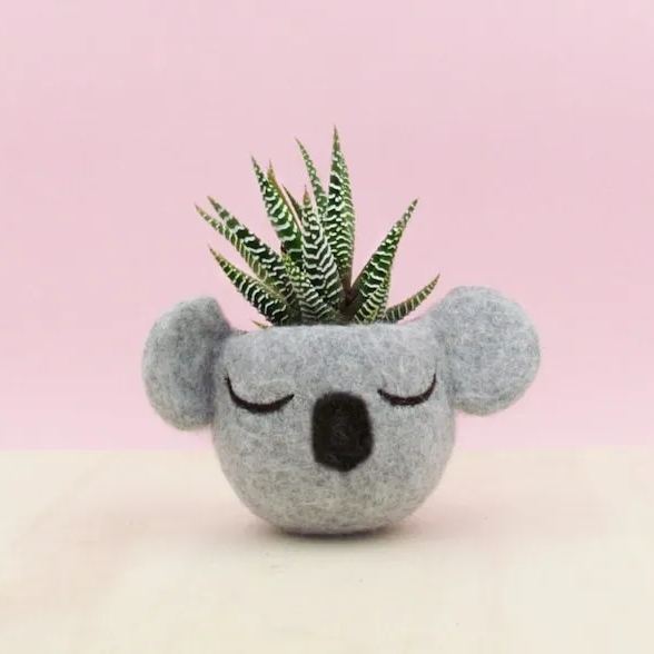 Animalplanters