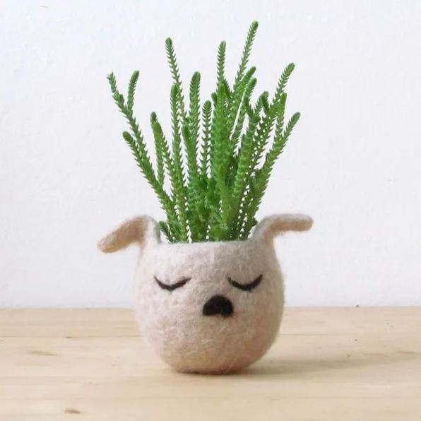 Animalplanters