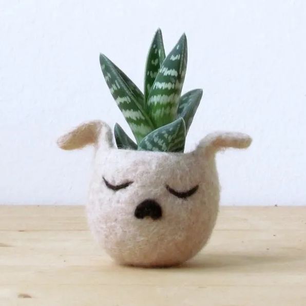 Animalplanters