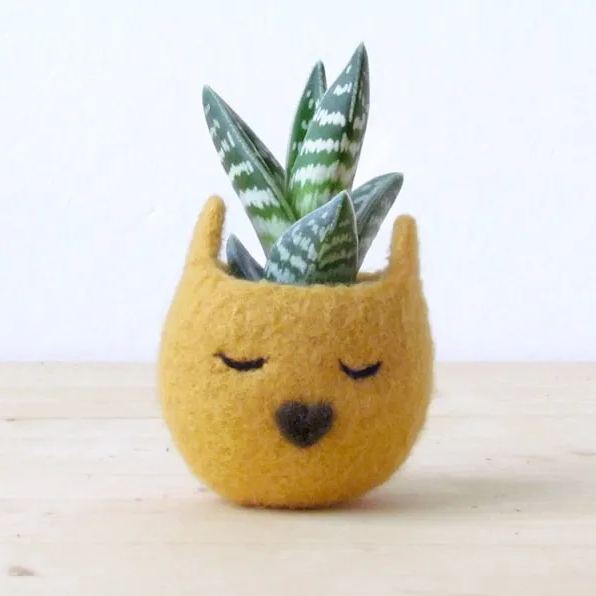 Animalplanters