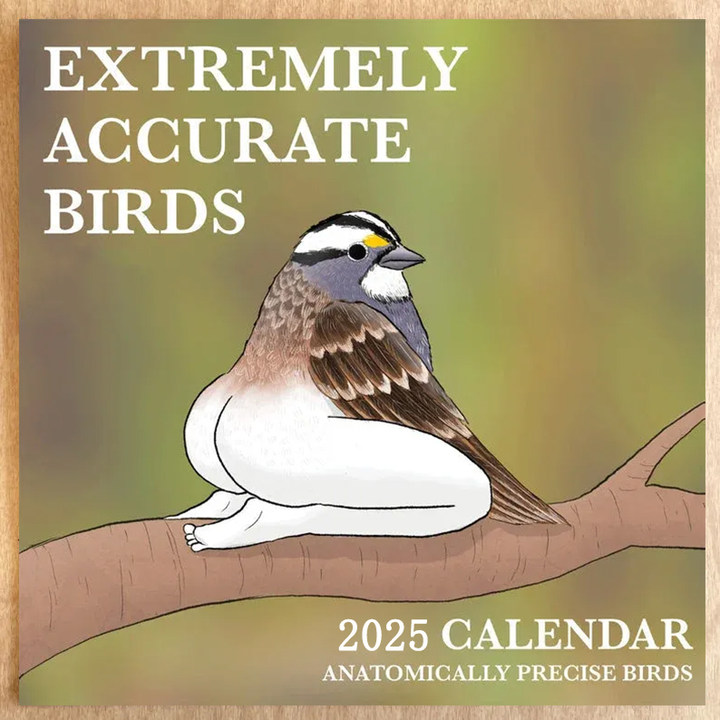 🎁2025 CALENDAR OF EXTREMELY ACCURATE BIRDS