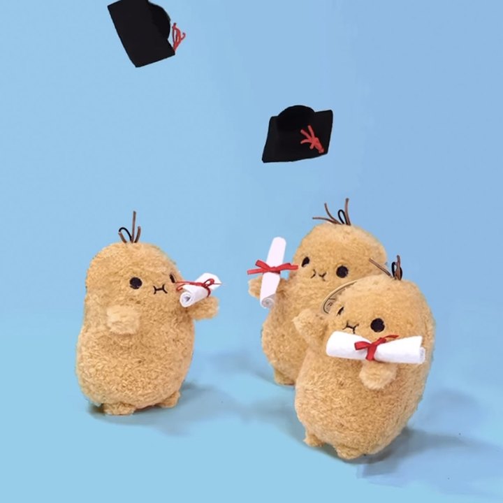 🧡👨‍🎓 Graduation Potato Fluffy Mini Plush Toy 👩‍🎓🧡