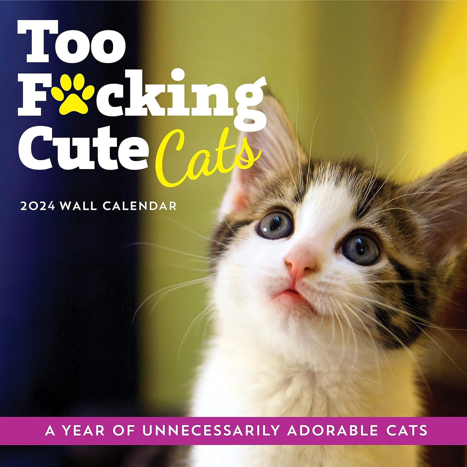 😺2024 Too Cute Cats Wall Calendar