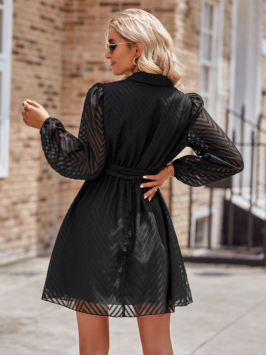 Skater Dresses V-Neck Long Sleeves Lace Up Chic Mini Dress