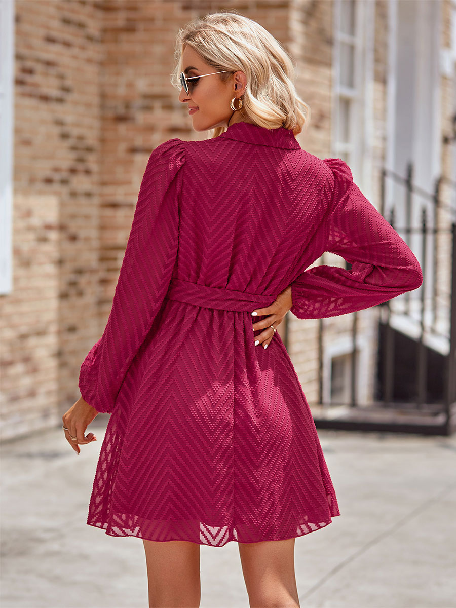 Skater Dresses V-Neck Long Sleeves Lace Up Chic Mini Dress