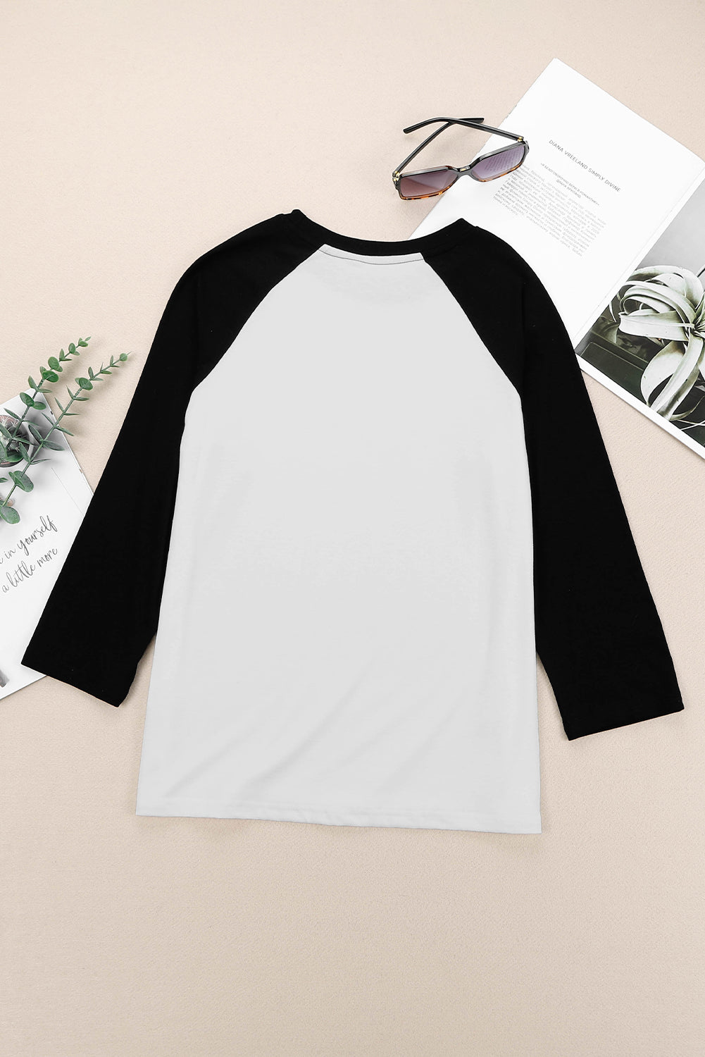 Black Color Block Raglan Sleeve Pullover Top-yoyobikini