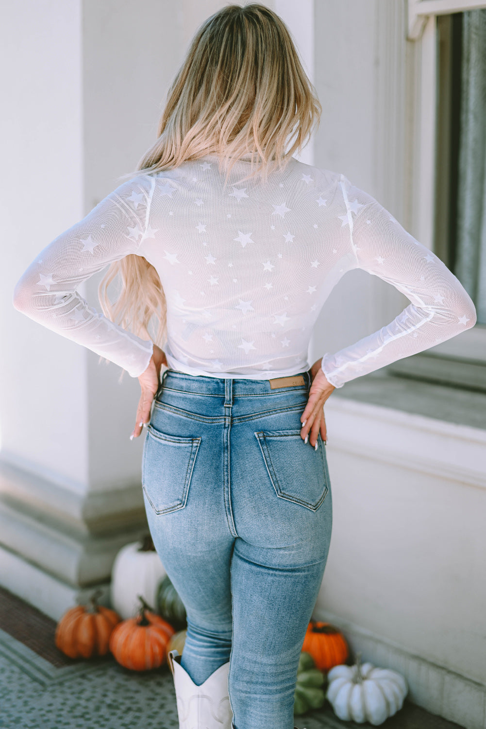 White Star Embellished Sheer Mesh Long Sleeve Top-yoyobikini
