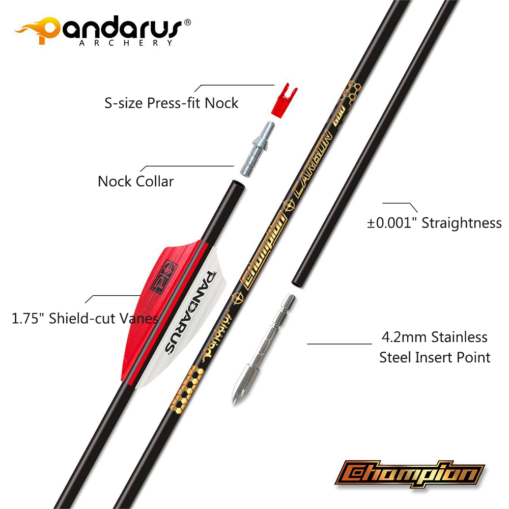 --77.jpeg?w=1000&h=1000