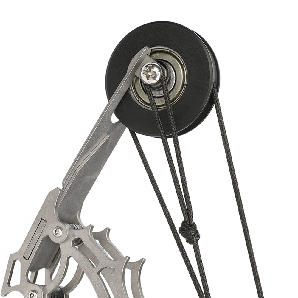 Mini Compound Bow Set 9.5lb Youth Training Kit with 16 Arrows & Target