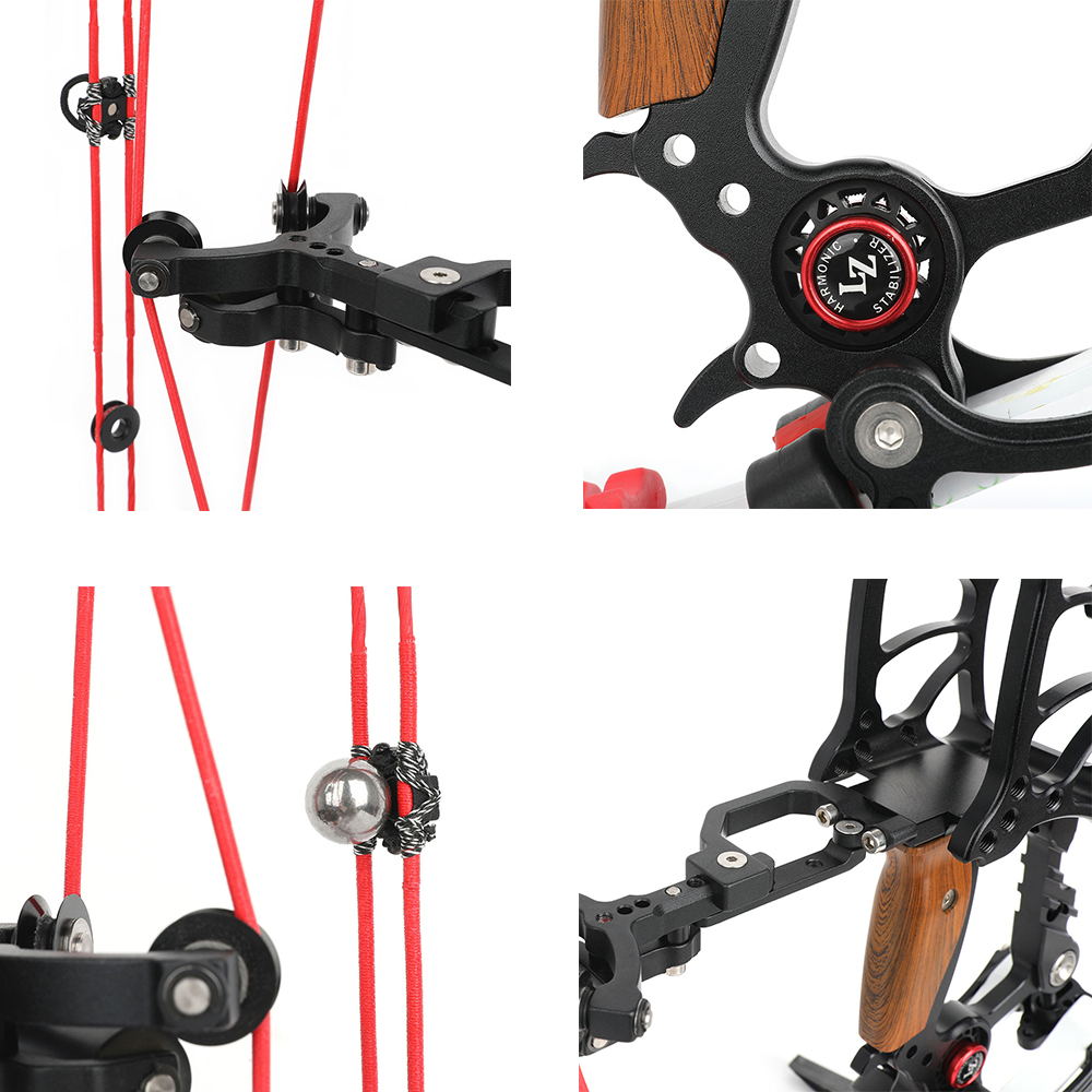 Steel Ball Compound Bow Hunting 40-65 lbs