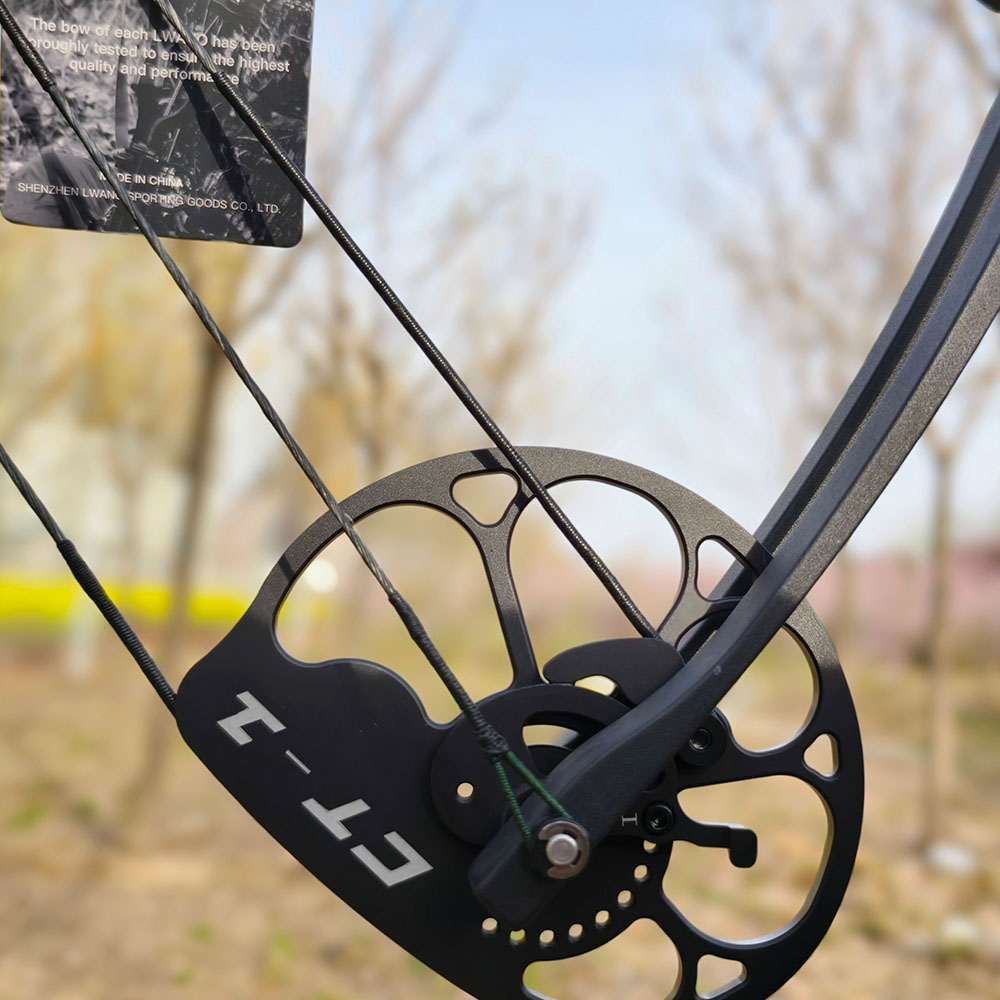 LWANO PANGO 31 Hunting Compound Bow Package 320 FPS RH