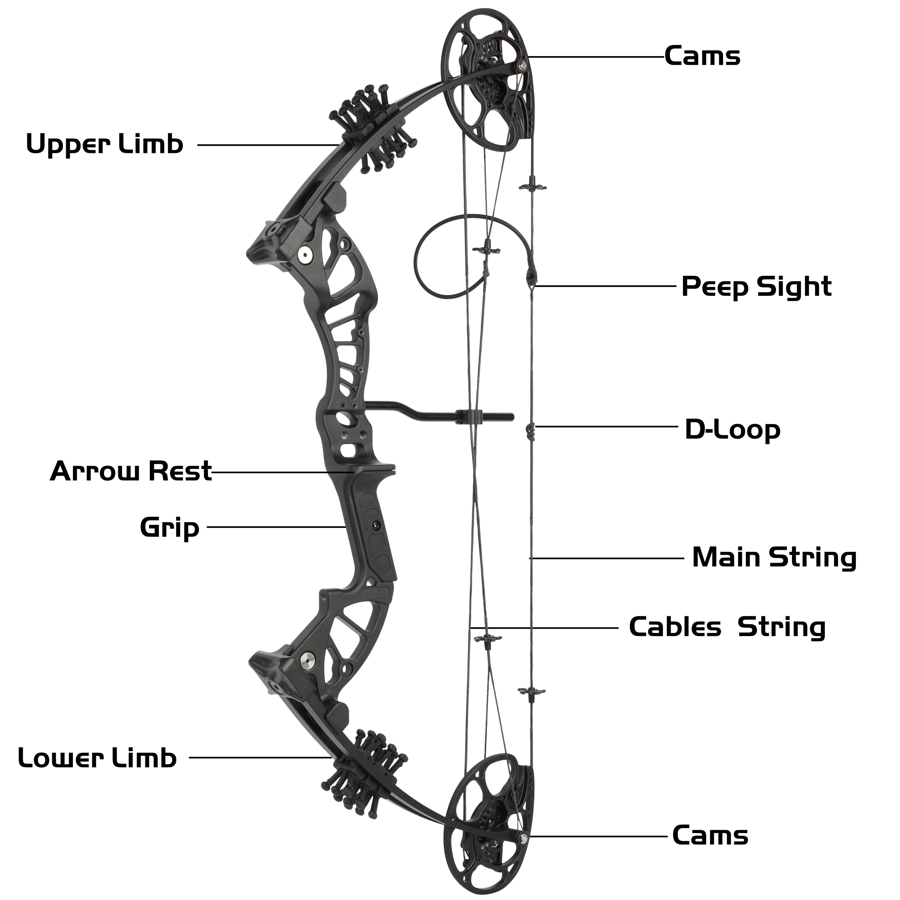Archery 15-45lbs Compound Bow Set Shooting Target