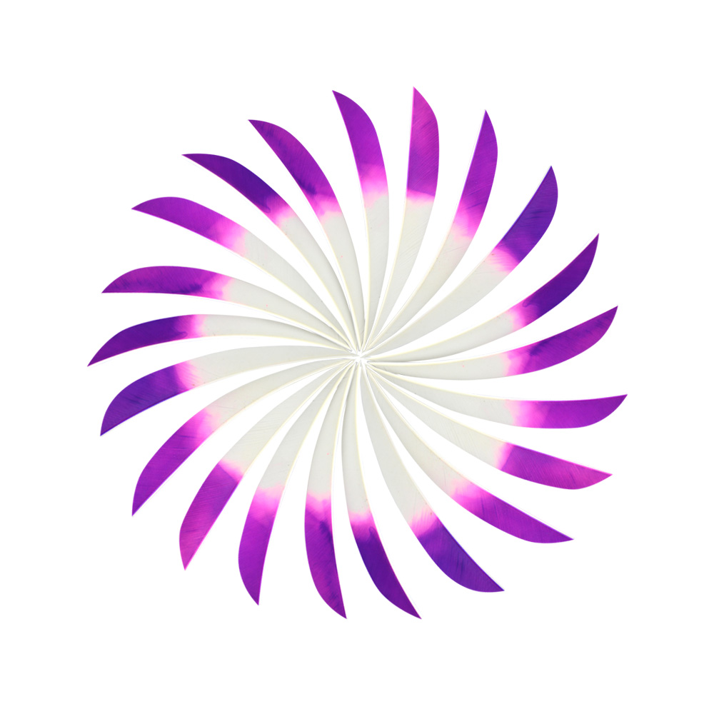  5" Parabolic Feather Fletchings for Arrows (50 Pack) 