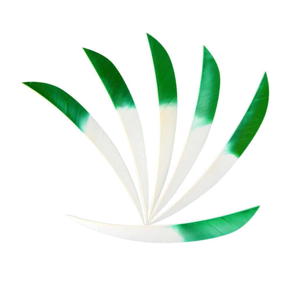  5" Parabolic Feather Fletchings for Arrows (50 Pack) 