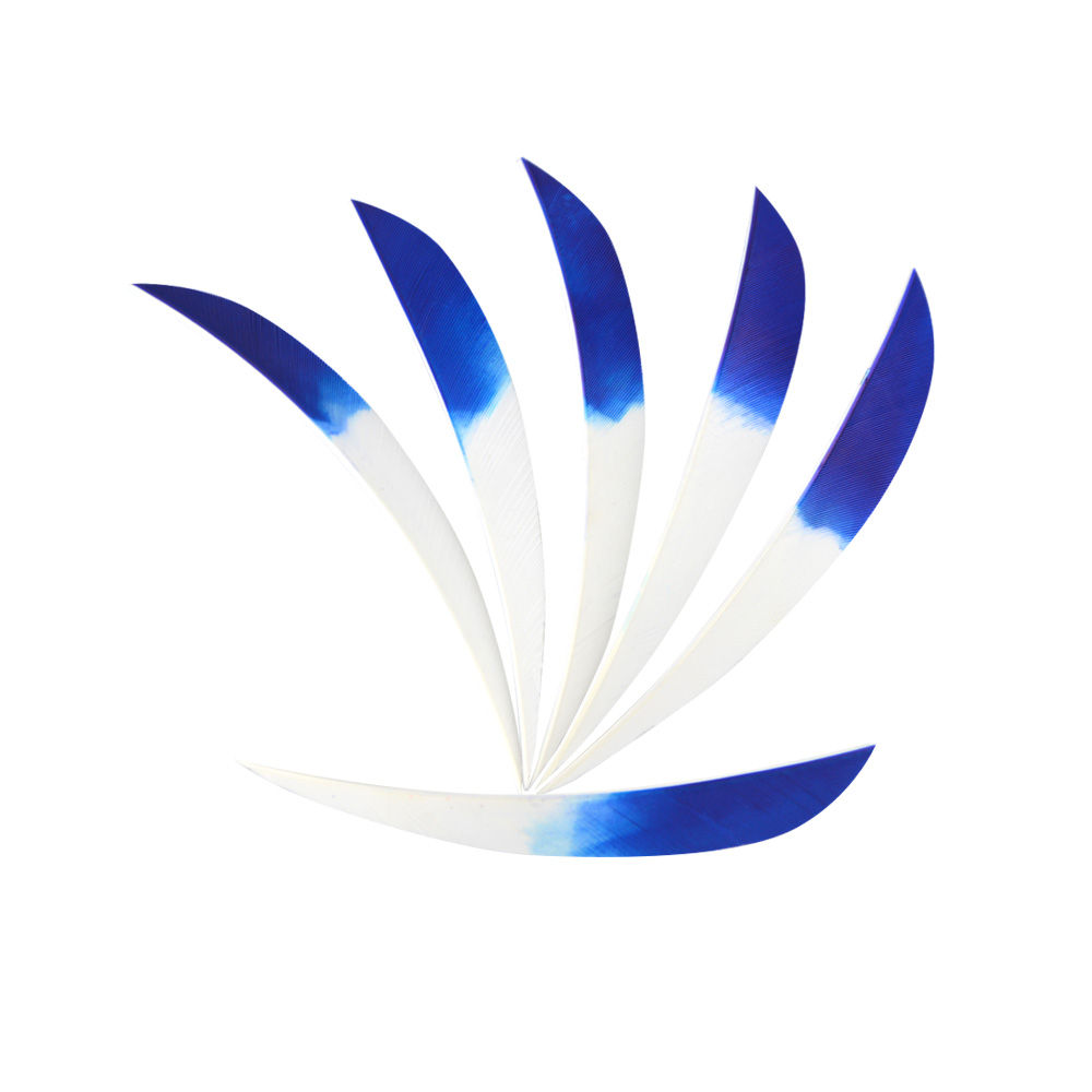  5" Parabolic Feather Fletchings for Arrows (50 Pack) 